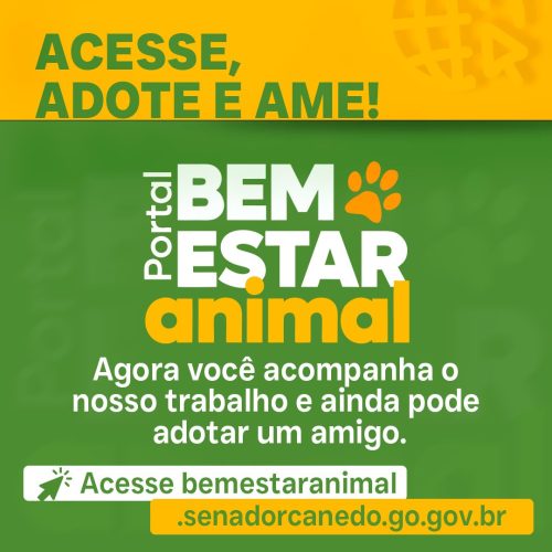 Novo site da Prefeitura de Senador Canedo permite adotar pets com apenas alguns cliques