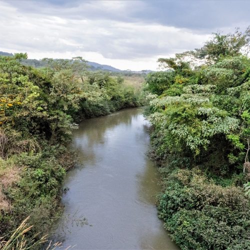 Rio Meia Ponte entra em nível de atenção; população deve economizar água, alerta Cimehgo