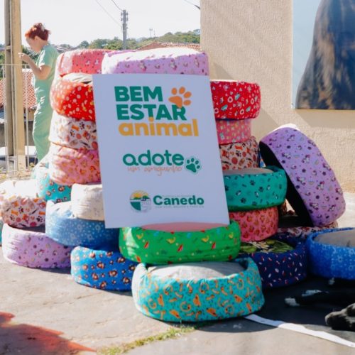Bem-Estar Animal entrega caminhas feitas com pneus reaproveitados a animais adotados em Senador Canedo