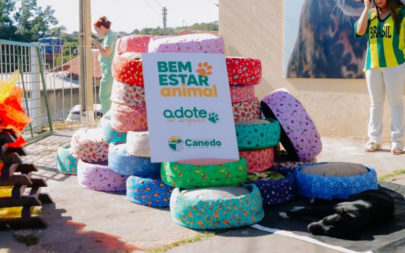 Bem-Estar Animal entrega caminhas feitas com pneus reaproveitados a animais adotados em Senador Canedo