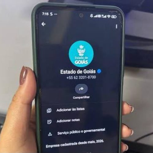 Agora dá para renovar a CNH e pedir identidade pelo WhatsApp em Goiás; veja como funciona