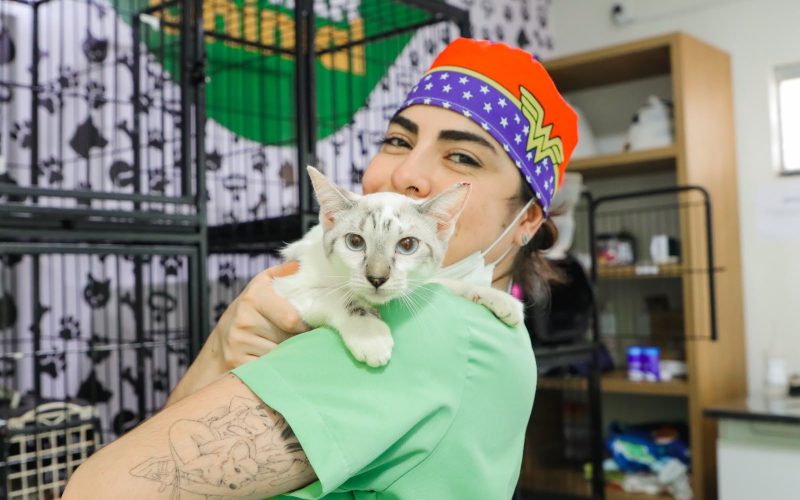 Senador Canedo ultrapassa 3,5 mil castrações gratuitas de cães e gatos