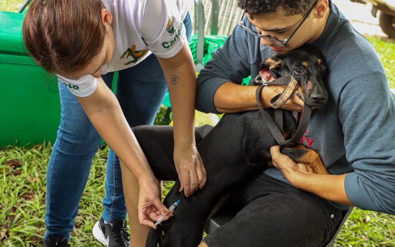 Senador Canedo realiza Campanha de Vacinação Antirrábica neste sábado (12)