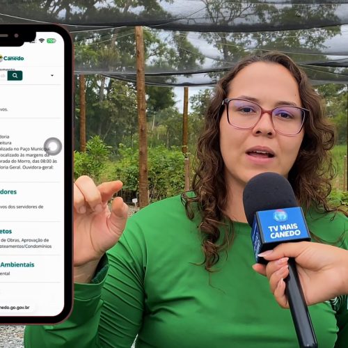 Período chuvoso favorece o plantio de mudas e o fortalecimento da arborização em Senador Canedo