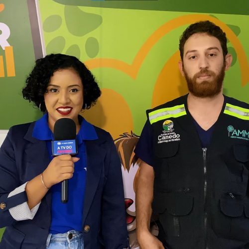 Cuidados essenciais para proteger seus pets durante o período de seca e calor