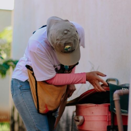 Senador Canedo intensifica ações e retira mais de 50 mil ovos do mosquito da dengue em 2026