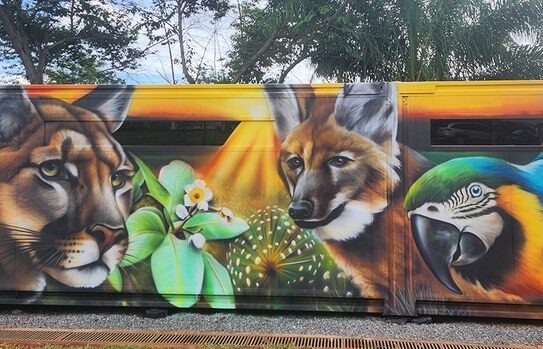 Cetas-GO recebe laboratório de genética para reforçar resgate e combate ao tráfico de animais silvestres