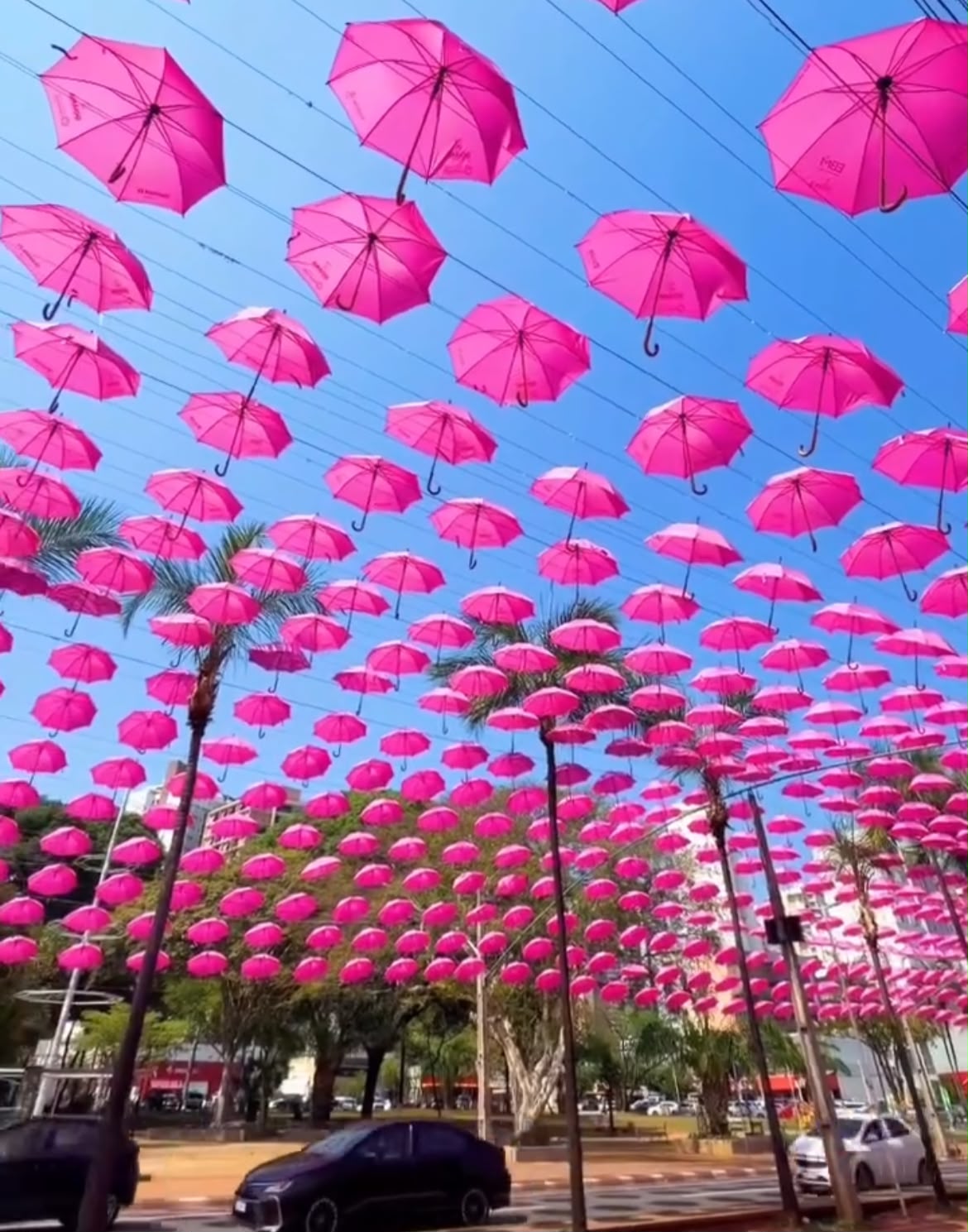 Goiânia ganha túnel de guarda-chuvas rosas para marcar o Outubro Rosa
