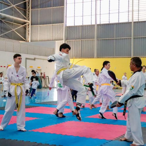 Senador Canedo sedia treino decisivo da seleção goiana de Taekwondo