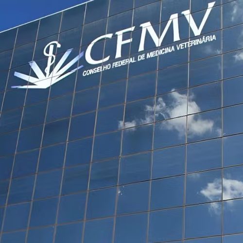 CFMV abre concurso com salários de até R$ 11 mil e 181 vagas; provas em agosto