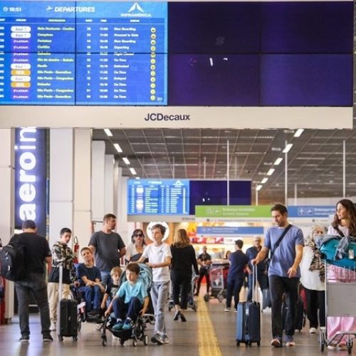 Senado aprova novas regras para transporte aéreo de cães e gatos