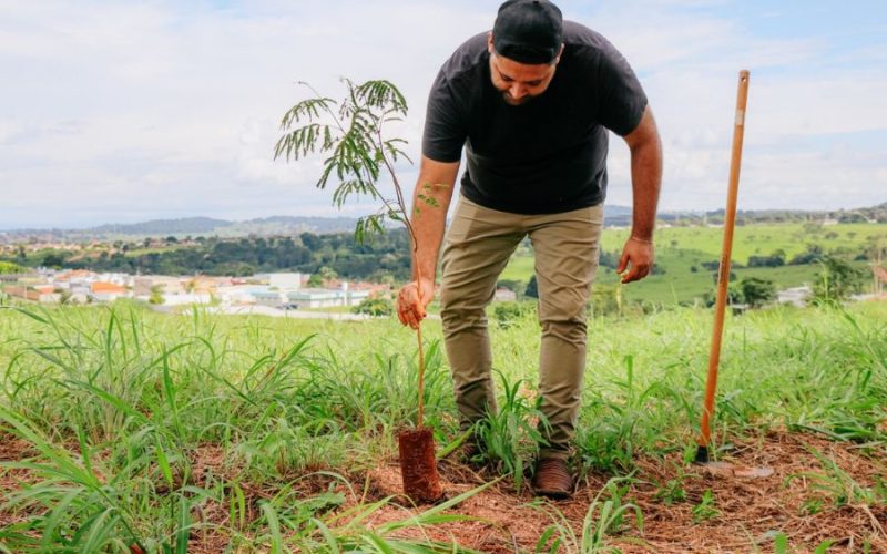AMMA realiza plantio participativo de mudas no Residencial Flor do Ipê, em Senador Canedo