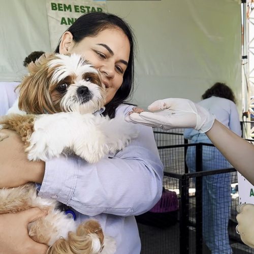 AMMA impulsiona sustentabilidade e bem-estar animal no Avança Canedo