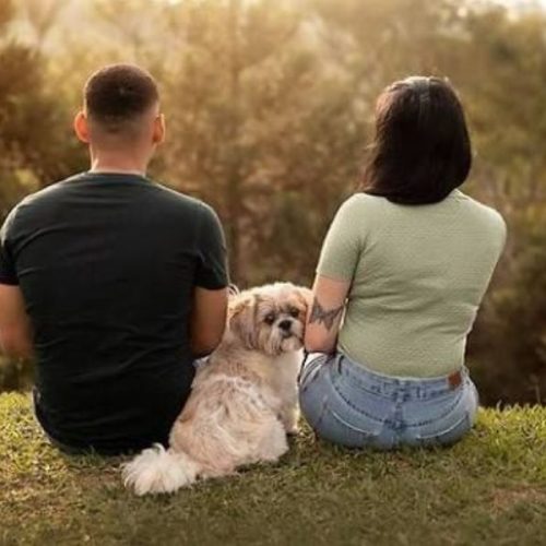 Divórcio com pets: Senado avança em proposta de guarda compartilhada e divisão de despesas