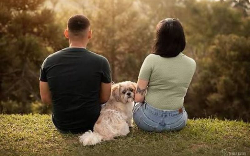 Divórcio com pets: Senado avança em proposta de guarda compartilhada e divisão de despesas