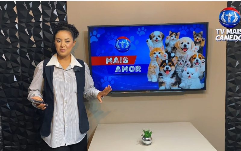 Quadro Mais Amor, adote um amiguinho!