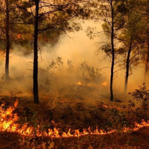 Brasil Registra 22 Mil Focos de Incêndio em Novembro, com Amazônia à Frente
