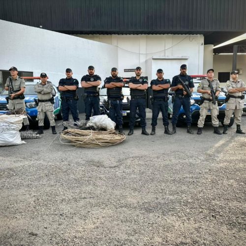Operação “Equicobre” apreende mais de 200 kg de fiação furtada em Senador Canedo
