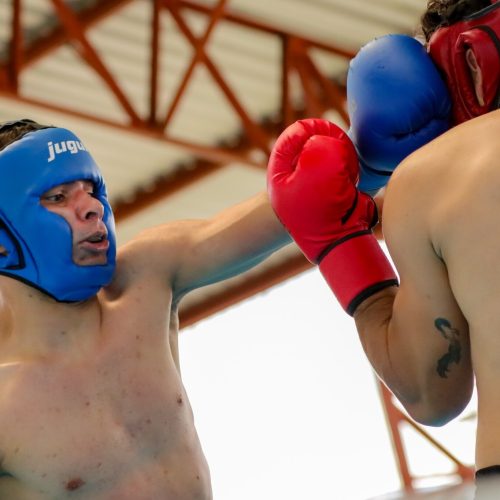 Senador Canedo sedia Campeonato Goiano de Kickboxing com participação de 260 atletas