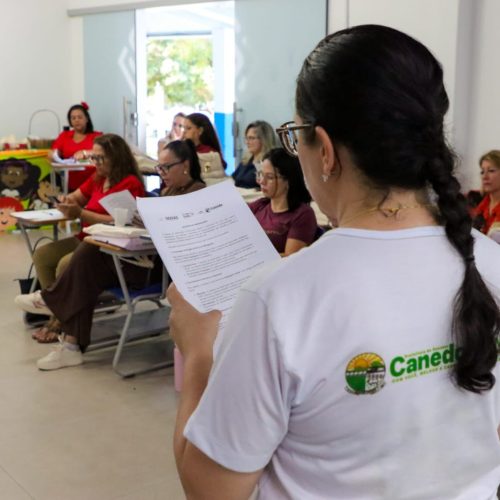 Formação do AlfaMais reúne 400 profissionais da educação em Senador Canedo