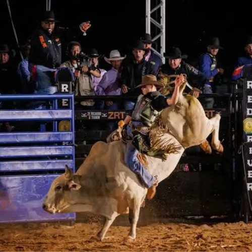Pecuária de Goiânia volta a ter rodeio após quase 10 anos