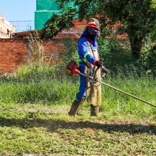 Roçagem e capina avançam em bairros e avenidas de Senador Canedo