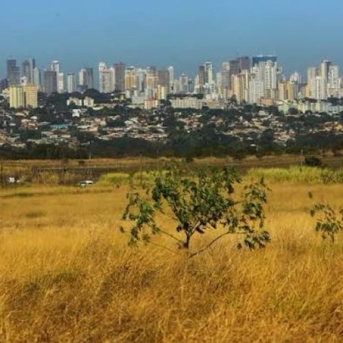 Goiás entra em alerta para baixa umidade e pode registrar índices semelhantes aos de regiões desérticas