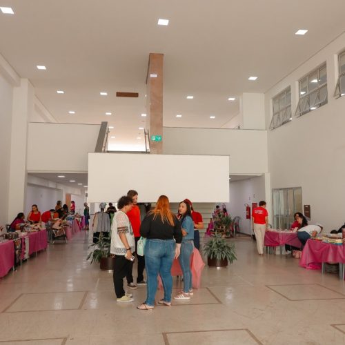 Mulheres empreendedoras levam produtos e negócios ao Paço Municipal em Senador Canedo