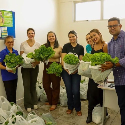 UBS Boa Vista ganha horta para incentivar alimentação saudável em Senador Canedo