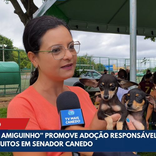 Feira “Adote um Amiguinho” garante novos lares e promove saúde animal