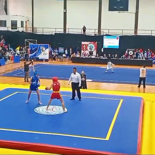 Jovem de Senador Canedo conquista ouro no Sul-Americano de Kung-Fu na Argentina