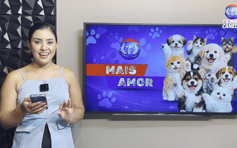 Quadro Mais Amor incentiva adoção responsável de animais resgatados em Senador Canedo