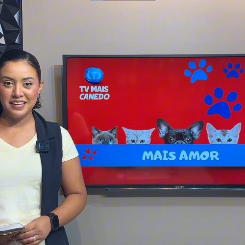 🐶❤💙Quadro Mais Amor – Adote um amiguinho