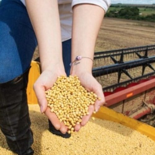 Goiás registra superávit histórico de US$ 8 bilhões no comércio exterior em 2025, aponta Ministério do Desenvolvimento, Indústria, Comércio e Serviços