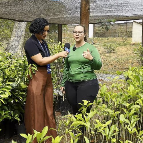 Viveiro de Senador Canedo promove doação de mudas e incentiva o meio ambiente.
