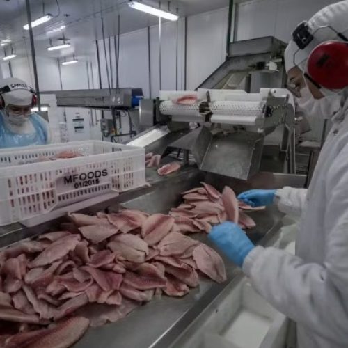 Governo inclui açaí, castanhas e pescados em lista de compras públicas após sobretaxa dos EUA