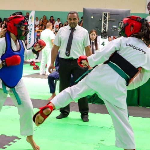 Copa Canedo de Karatê reúne cerca de 600 atletas e reforça Senador Canedo como referência no esporte