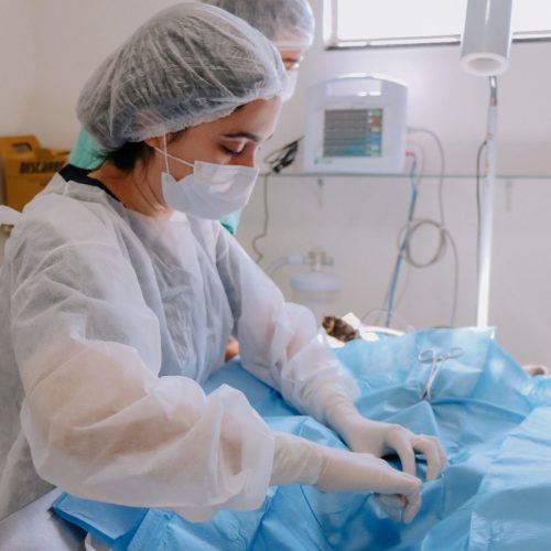 Senador Canedo já castrou 500 animais em 2026 e reforça política de proteção animal