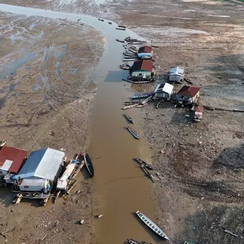 Desmatamento explica 75% da redução das chuvas na Amazônia desde 1985, aponta estudo