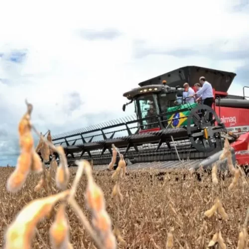 Goiás registra superávit de US$ 669 milhões na balança comercial em junho, puxado por exportações de soja e carnes